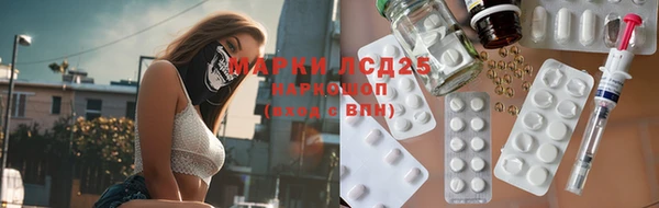 сатива Алзамай
