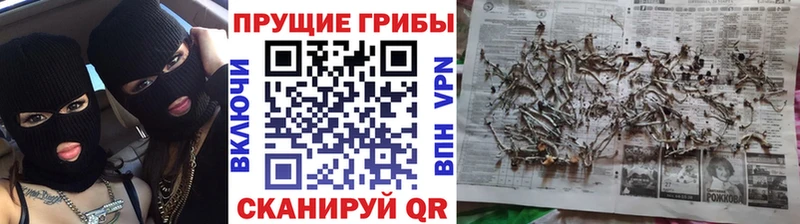 Галлюциногенные грибы Magic Shrooms  Дубна 