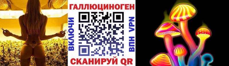 Псилоцибиновые грибы Cubensis Дубна