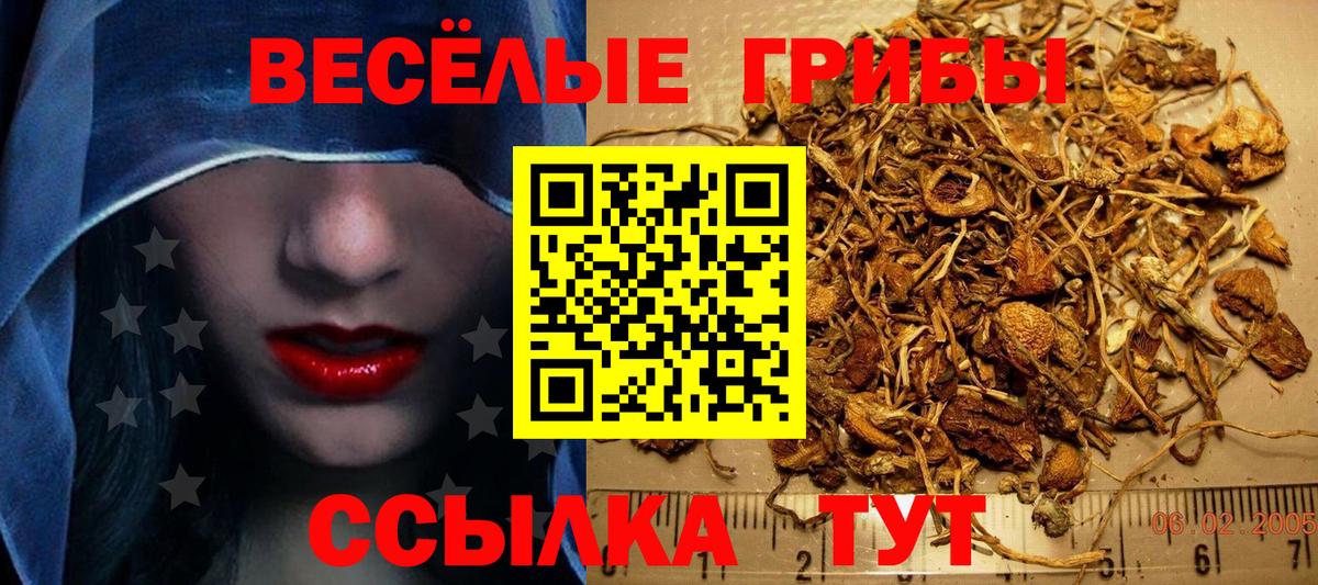 Псилоцибиновые грибы Cubensis  Вход с VPN  Дубна 